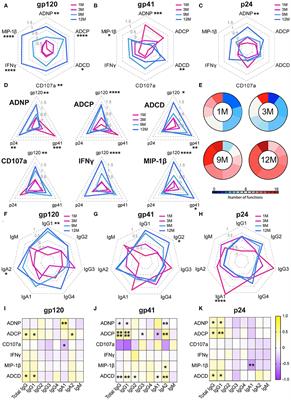 Frontiers | Tracking the Trajectory of Functional Humoral Immune